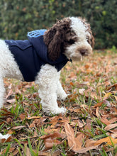 Load image into Gallery viewer, Meet Me By The Sea Dog Hoodie - ATRDesigns