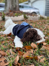 Load image into Gallery viewer, Meet Me By The Sea Dog Hoodie - ATRDesigns
