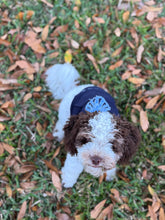 Load image into Gallery viewer, Meet Me By The Sea Dog Hoodie - ATRDesigns