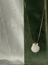 Load image into Gallery viewer, 14K White Shell Pendant
