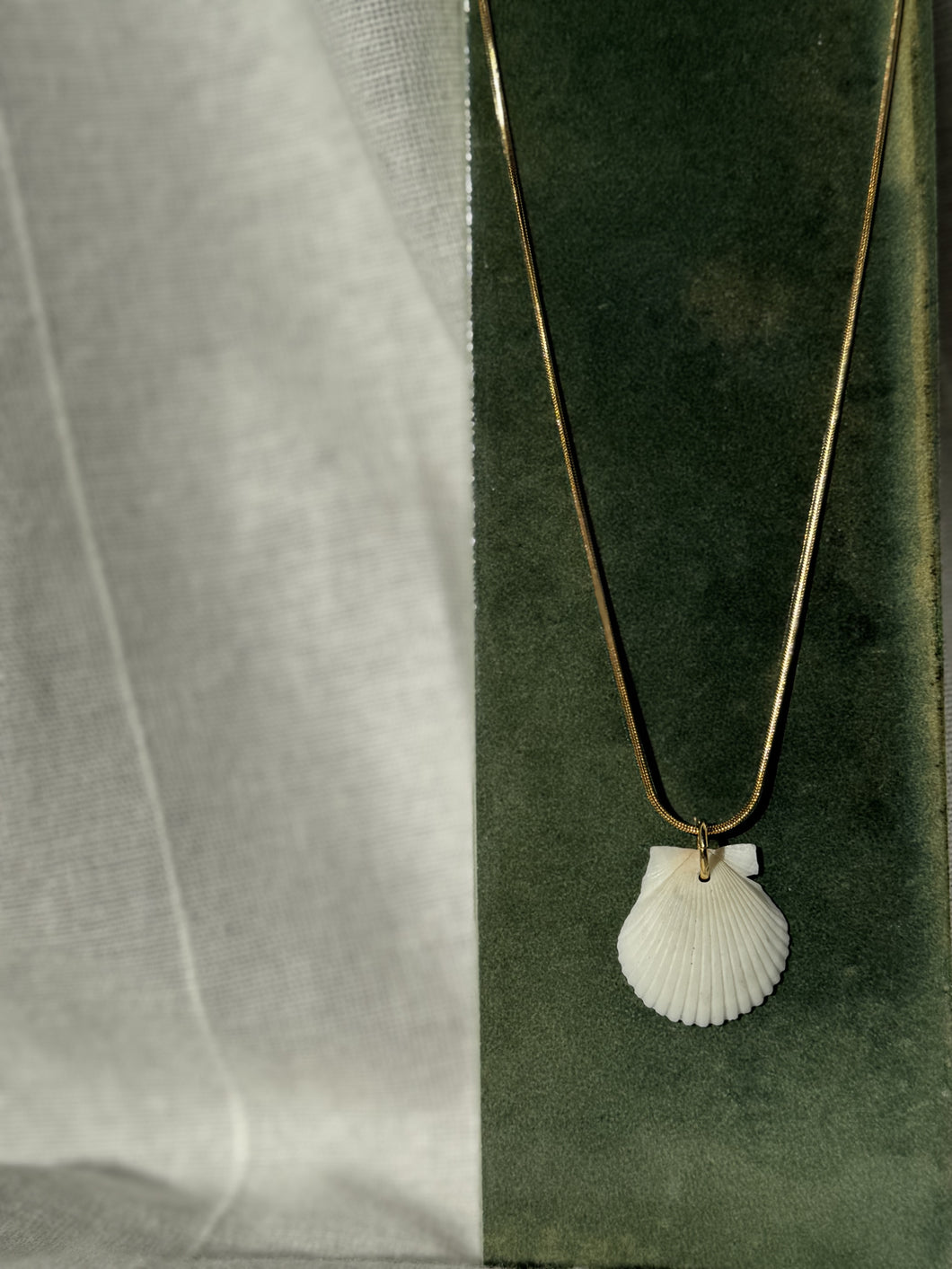 14K White Shell Pendant