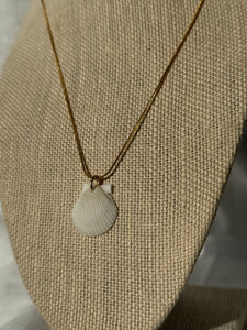 14K White Shell Pendant